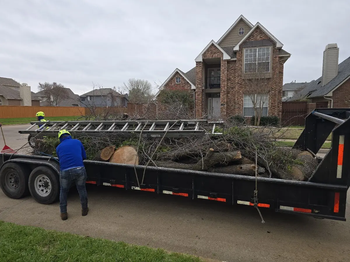 Expert Lot Clearing with proper safety equipment in Sears
